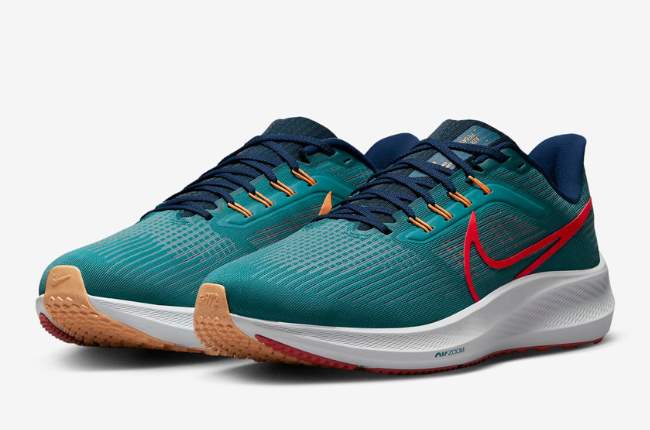 nike-air-room-pegasus-39